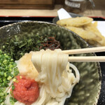 Honkakuha Hakata Udon Hasida Taikiti - 