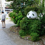 Torattoria Itaria - 広小路では、パンダが草に捕まり菊人形のように ……　「新倉さん助けてよ !」