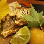 銀座 奥田 - かます