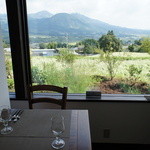 イロナキカゼ - 