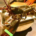 U.KAI - 元気なカナダ産オマールちゃん❤️なかなかのパンチ力♬