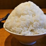 焼肉 ざんまい 海老名上河内店 - ご飯大盛