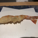 にい留 - 車海老×2
      →一尾目はレア感強めの仕立て。二尾目は少し強めの火入れ♪そして私が勝手に"神の衣"と名付ける衣を自由自在に操る新留大将の天風良♫