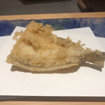 にい留 - 鱚
      →定番の天ネタもまた格別♪一切の臭みも雑味もなく、ただただ鱚の繊細な白身を楽しませてくださいました…美味しい…