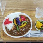 小さな食堂 ヒロ - 夏野菜カレー (税込)650円　(2021.09.16)