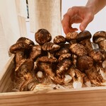 鉄板焼き いわ倉 - 