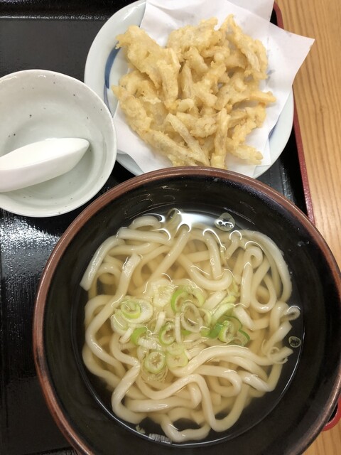 土佐うどん - 八女市その他/うどん | 食べログ