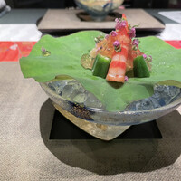 青山 星のなる木 - 