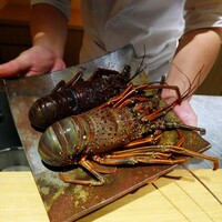 日本料理FUJI - 解禁になったばかりの伊勢海老