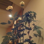 小石川 かとう - 本日のお花