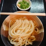 シラカワ - 冷かけうどん(小)