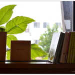 アイムホーム カフェ - お店の中には本や雑誌がずらりと・・・
