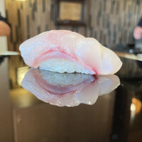 登喜和鮨 新発田本店 - 佐渡産マハタ7キロ12日寝かせ