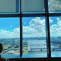 THE PENTHOUSE with weekend terrace - 