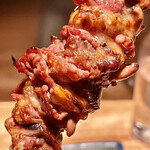 オオクサ - 心臓近くの大動脈といっても小さい部位をこれだけ集めるのは大変です　30羽分だとかすごいよね