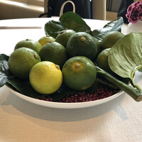 サンス・エ・サヴール - 