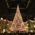 ブルーバイユー・レストラン - 