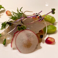 アマルフィイ・モデルナ - 