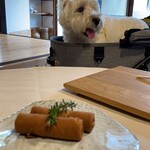 星のウィッチ - 