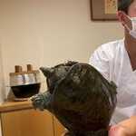 勢麟 - 天竜川天然鼈