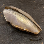 鮨 大地 - トロける様な小肌でした！