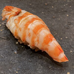 鮨 大地 - 車海老