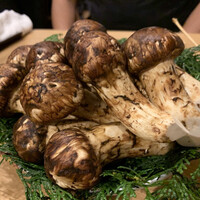 御成門はる - 松茸