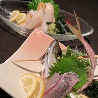 魚心 新宿総本店 - 