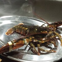 池袋　鉄板焼　ORCA - 