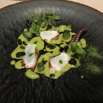 アルカナイズ - 