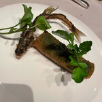 アルカナイズ - 