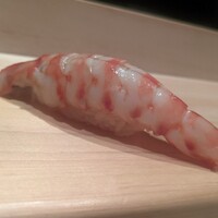 鮨利﨑 青山 - 佐賀県産活車海老