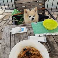 レストラン ラ・マーレ - 