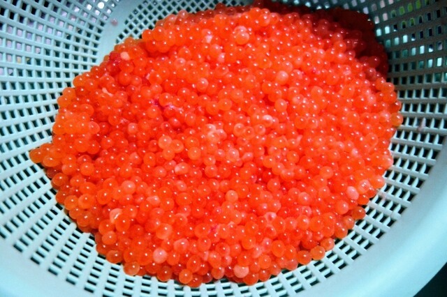 相原商店 - 釧路（その他）の写真