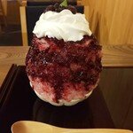 513ICELAB こいさんかき氷研究所 - 横からの図