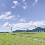 まる味屋珈琲店 - 