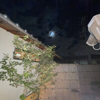 祇園 さゝ木 - 
