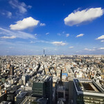 広東料理 センス - 37階からの景色