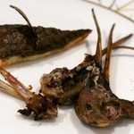 ラ・ヴァガボンド - ６-７-２）山シギの内臓のペースト、骨、くちばし