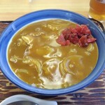 Shougetsuan - カレー丼・近影