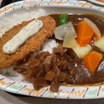 アルプス - 野菜カレー(500円)+トッピング 白身魚(80円)