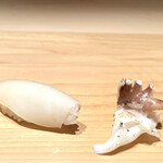 鮨 一幸 - スミイカ