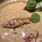 Fujiya 1935 - 子持ち鮎のコンフィ　ヘベス