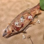 Fujiya 1935 - 子持ち鮎のコンフィ　ヘベス