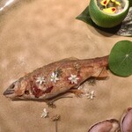 Fujiya 1935 - 子持ち鮎のコンフィ　ヘベス