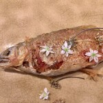 Fujiya 1935 - 子持ち鮎のコンフィ　ヘベス