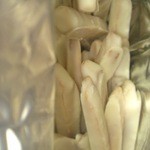 芋舗　芋屋金次郎 - ホワイトチョコのけんぴ