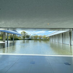 炭火割烹 蔓ききょう - 