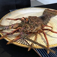 日本料理 TOBIUME - 素晴らしいシークレットゲストが登場・・地産地消で他県の品は殆ど使用されないシェフがポリシーを破って用意して下さった 「伊勢海老」様。時化でいいお魚が手に入らなかったからだそうですが、大好きですのでとても嬉しい。 でもこんな立派な品、この価格のコースでは採算が合わないでしょ。申し訳ないこと。m(__)m