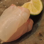 鮨 さかい - しっこしこ